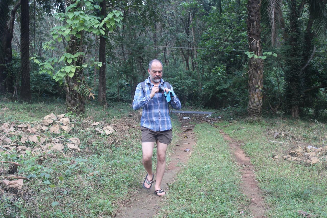 Athirapally Green Trees Атхирапали Екстериор снимка